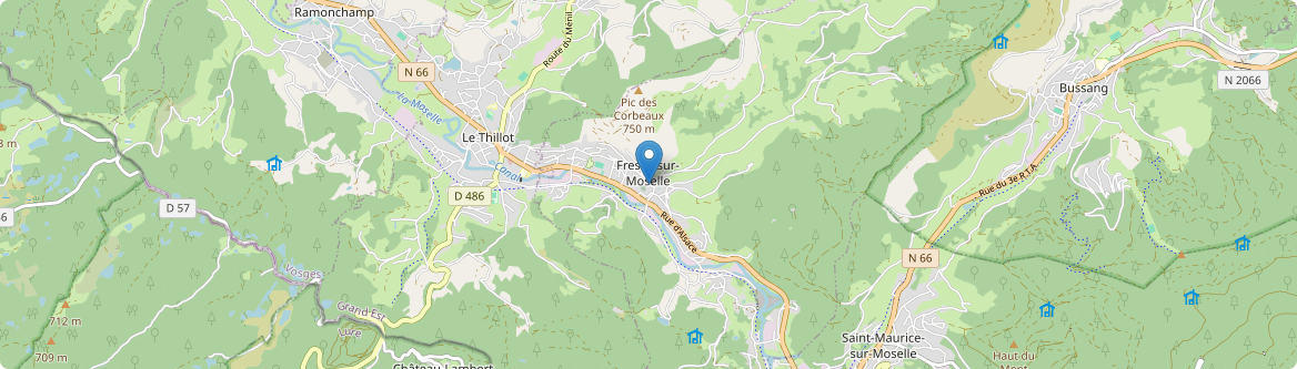 Fresse-sur-Moselle - Carte