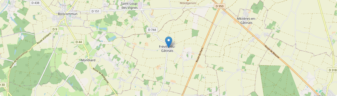 Fréville-du-Gâtinais - Carte