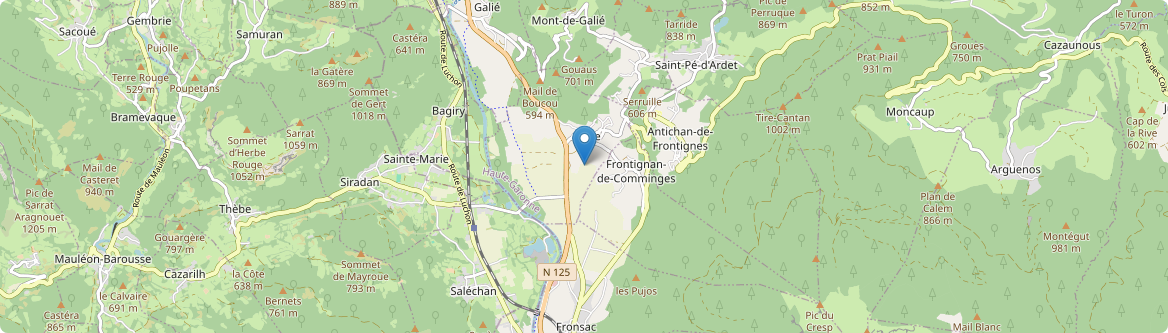 Frontignan-de-Comminges - Carte