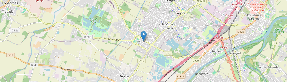 Frouzins - Carte