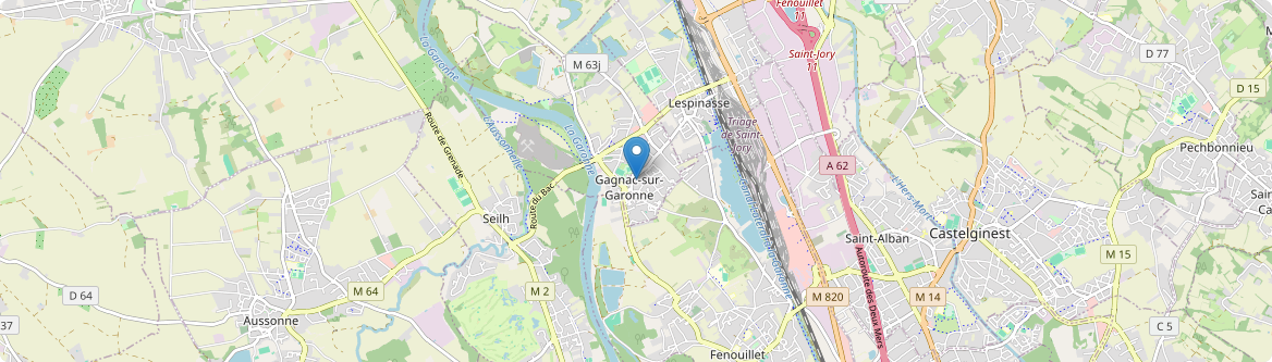 Gagnac-sur-Garonne - Carte