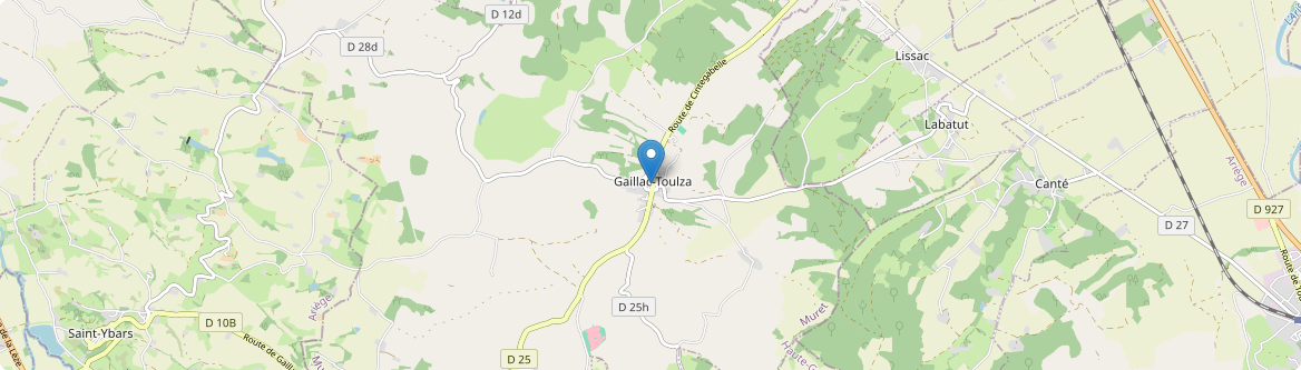 Gaillac-Toulza - Carte