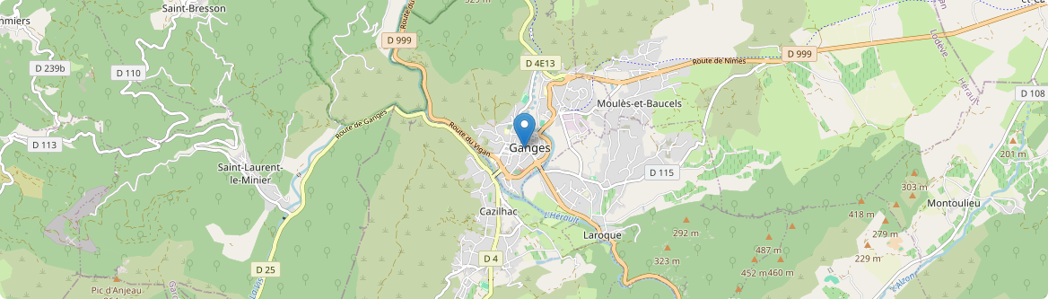 Ganges - Carte