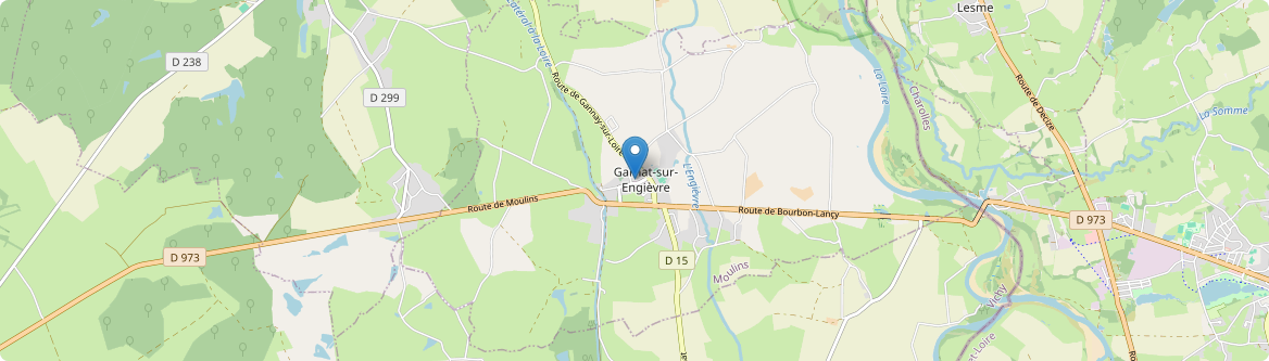 Garnat-sur-Engièvre - Carte