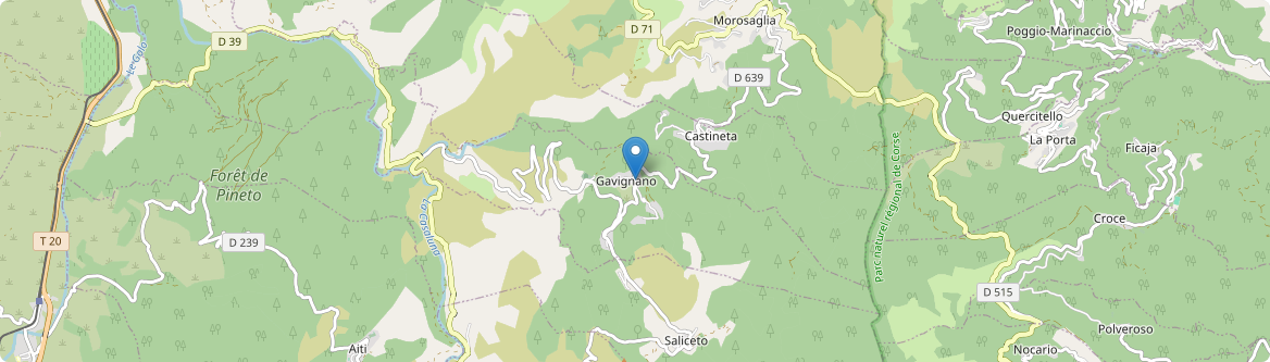 Gavignano - Carte