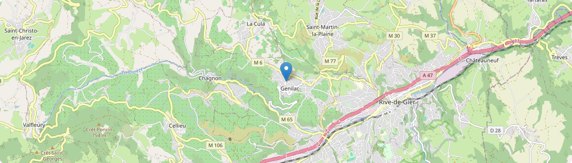 Genilac - Carte