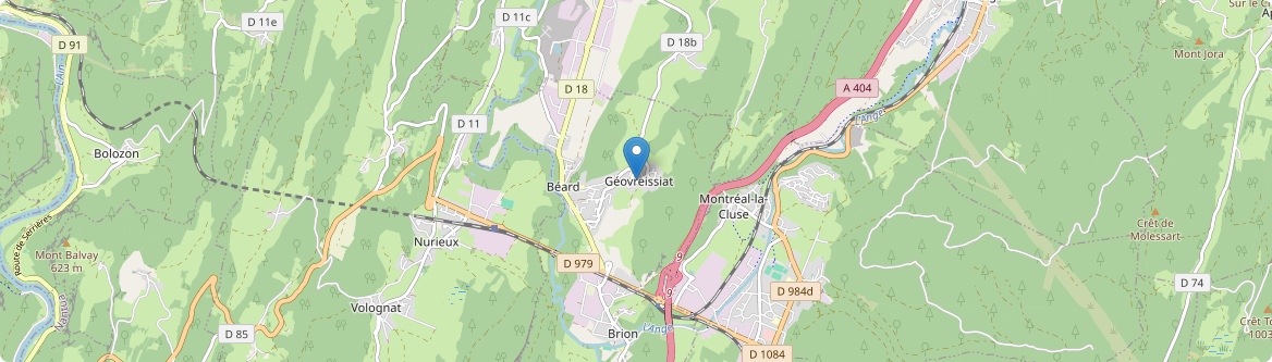 Béard-Géovreissiat - Carte