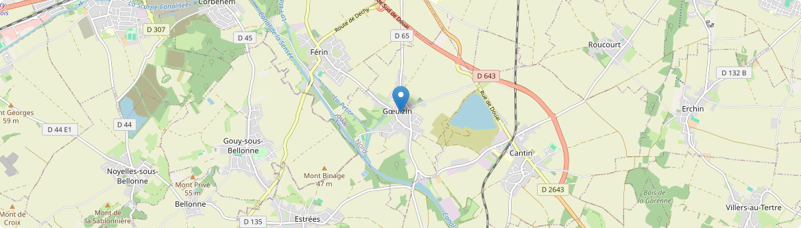 Gœulzin - Carte