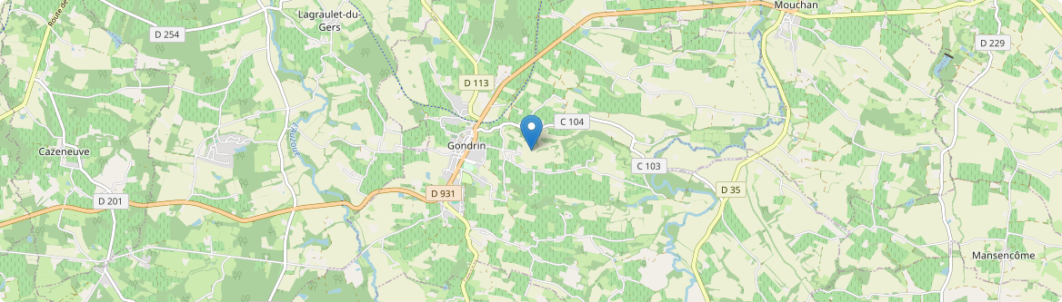Gondrin - Carte