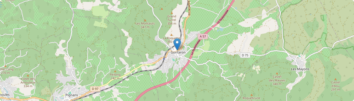 Gonfaron - Carte