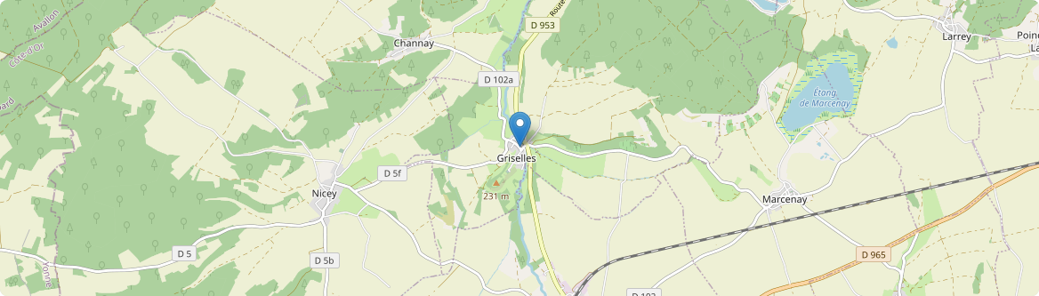 Griselles - Carte