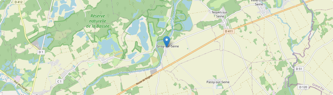 Grisy-sur-Seine - Carte
