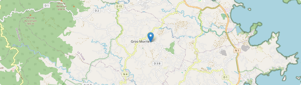 Gros-Morne - Carte