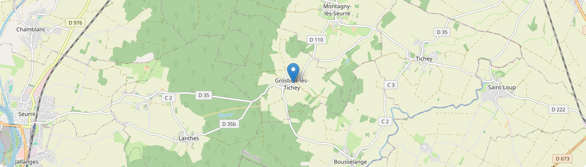 Grosbois-lès-Tichey - Carte