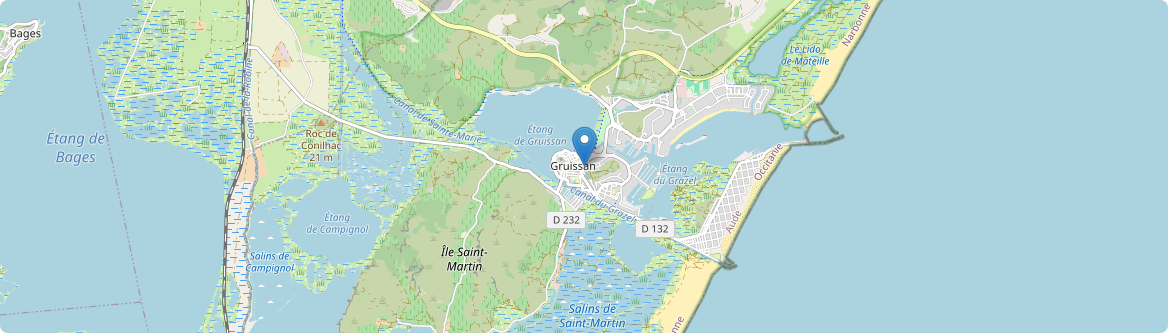 Gruissan - Carte