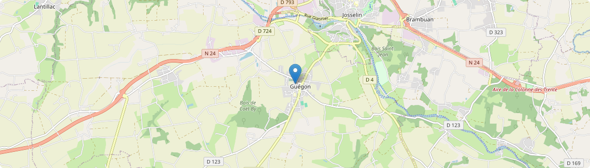 Guégon - Carte