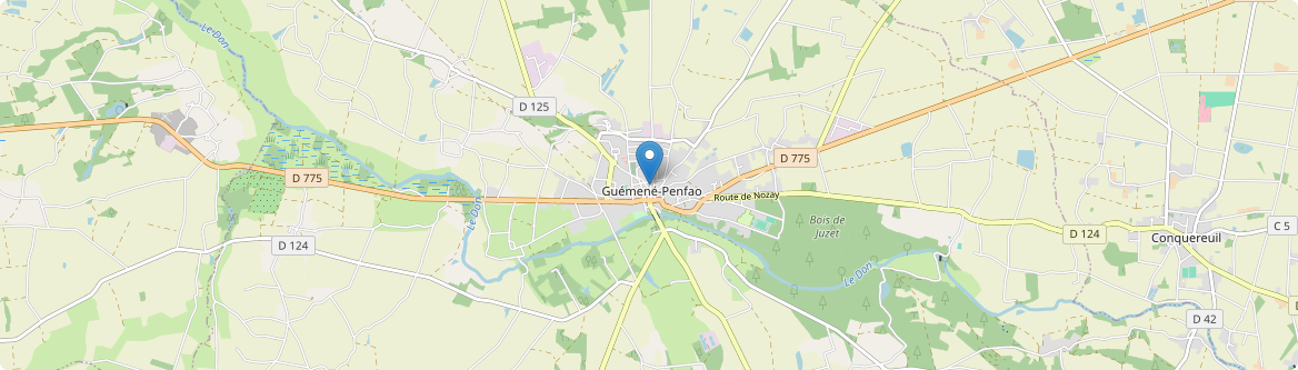 Guémené-Penfao - Carte