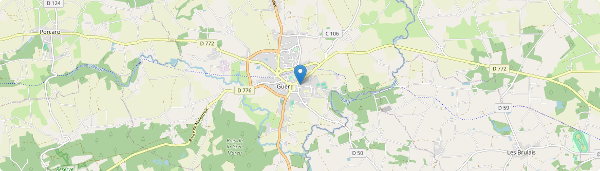 Guer - Carte