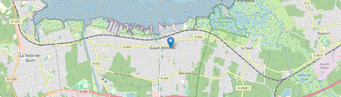 Gujan-Mestras - Carte