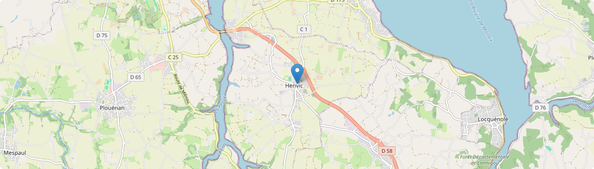 Henvic - Carte