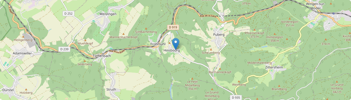 Hinsbourg - Carte