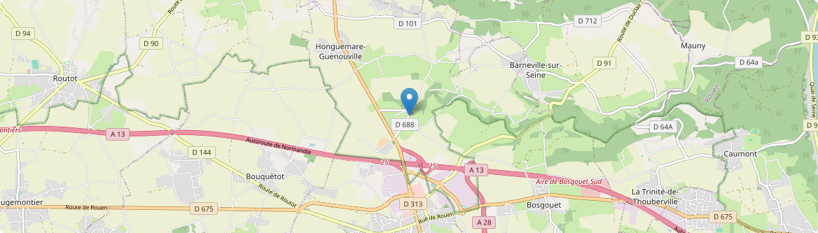 Honguemare-Guenouville - Carte