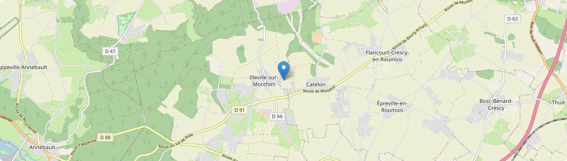 Illeville-sur-Montfort - Carte