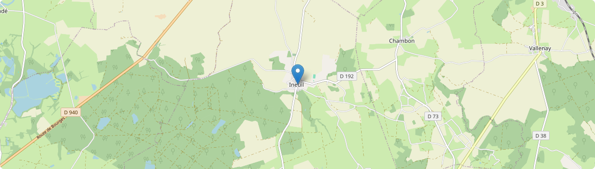 Ineuil - Carte