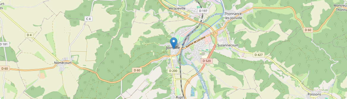 Joinville - Carte
