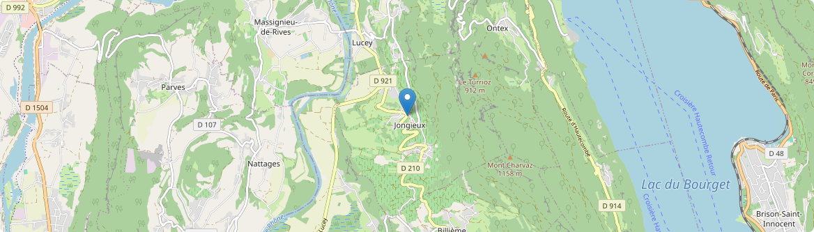 Jongieux - Carte
