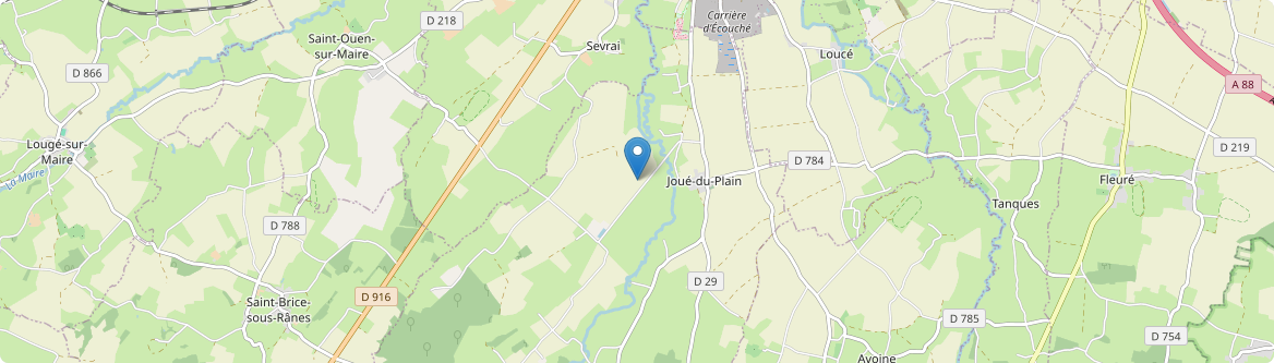 Joué-du-Plain - Carte