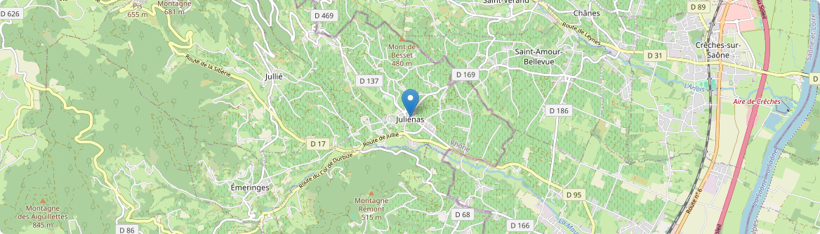 Juliénas - Carte