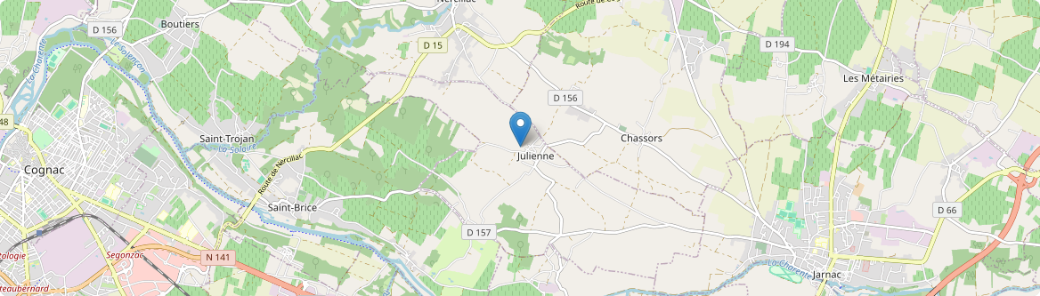 Julienne - Carte