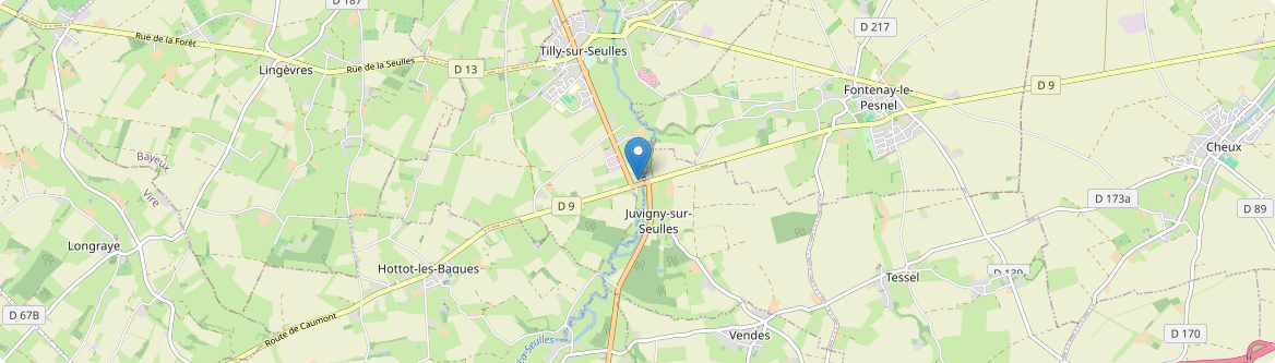 Juvigny-sur-Seulles - Carte