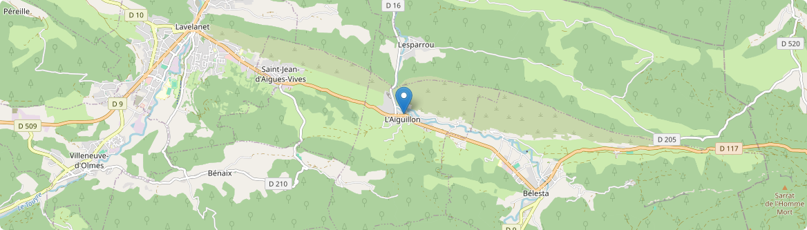 Aiguillon - Carte