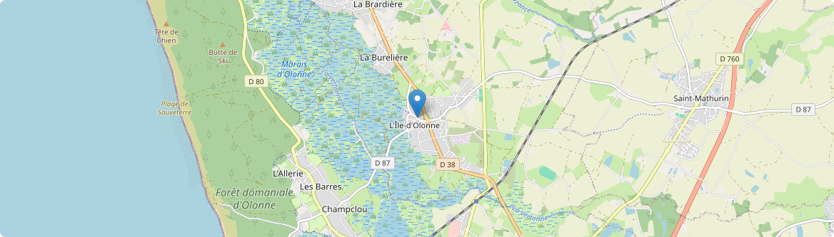 Île-d'Olonne - Carte