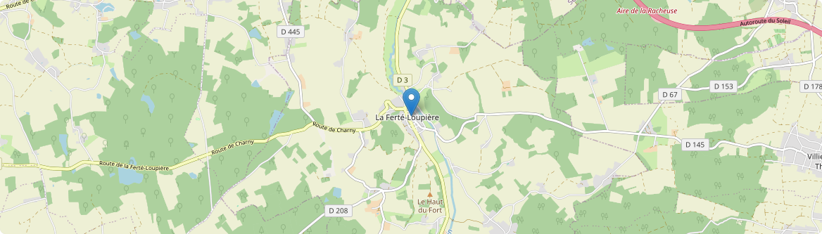 Ferté-Loupière - Carte