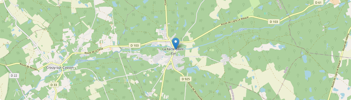 Ferté-Saint-Cyr - Carte