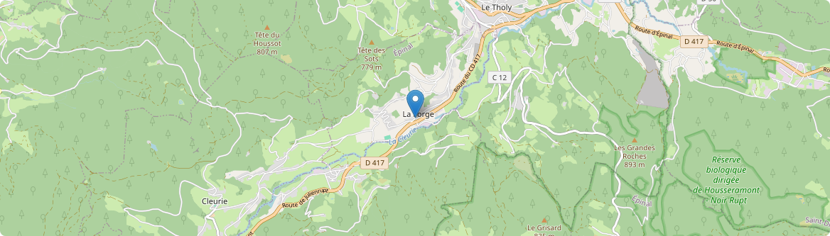 Forge - Carte
