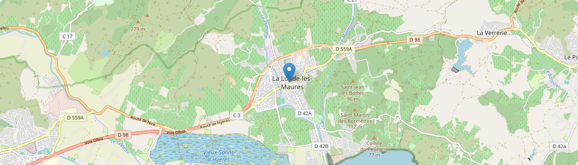 Londe-les-Maures - Carte