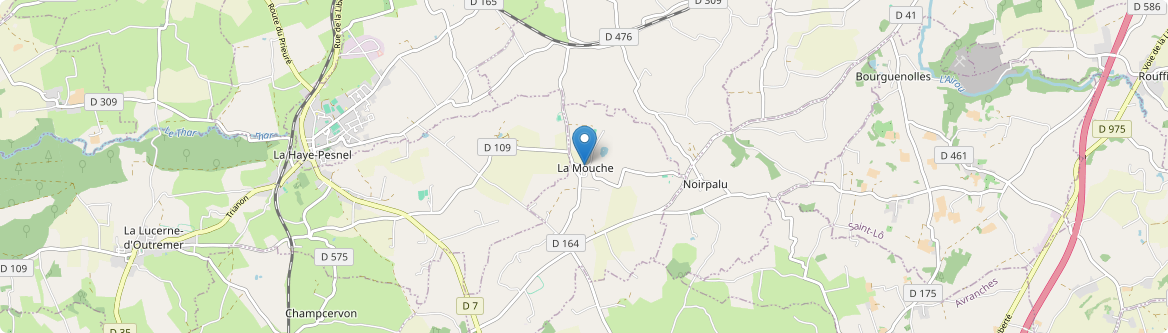 Mouche - Carte
