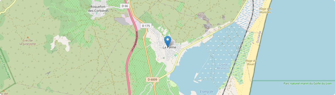 Palme - Carte