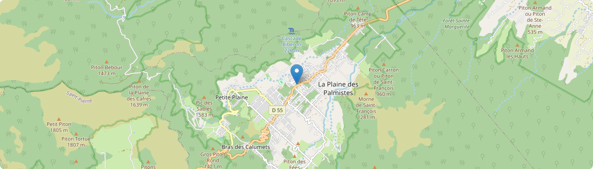 Plaine-des-Palmistes - Carte