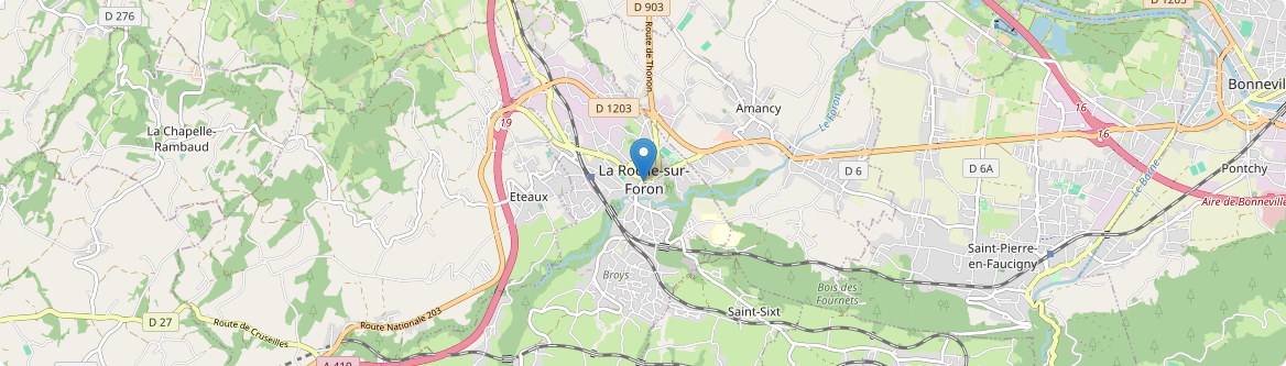 Roche-sur-Foron - Carte