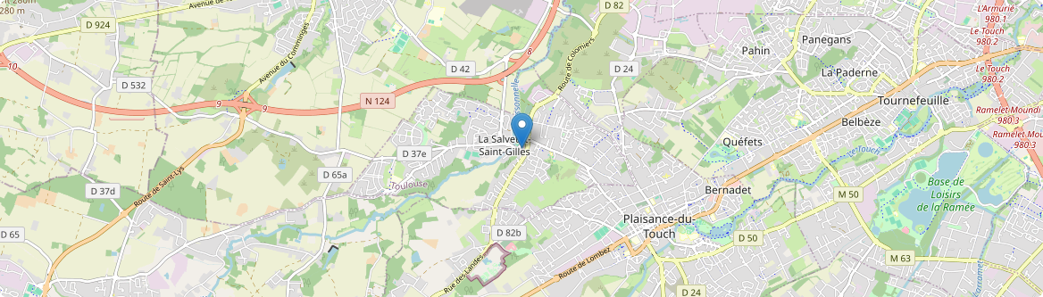 Salvetat-Saint-Gilles - Carte