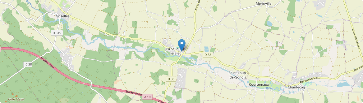 Selle-sur-le-Bied - Carte