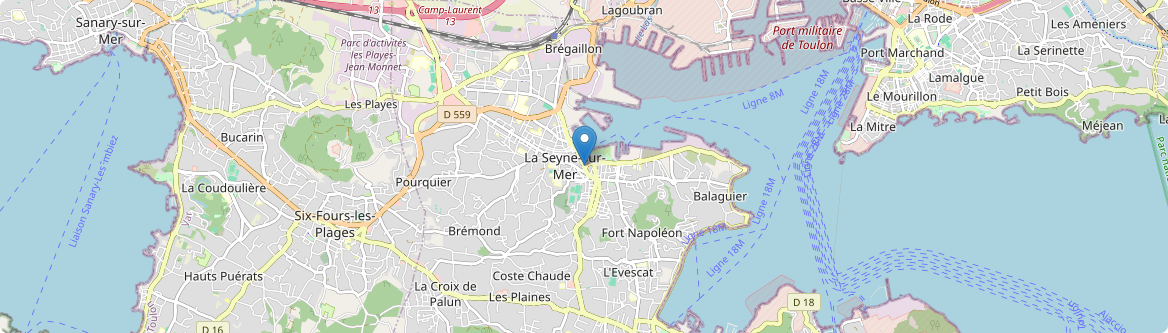 Seyne-sur-Mer - Carte