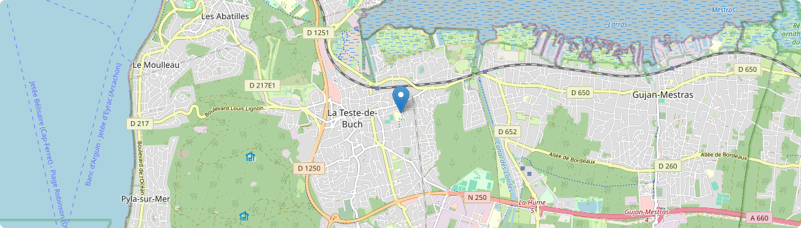 Teste-de-Buch - Carte