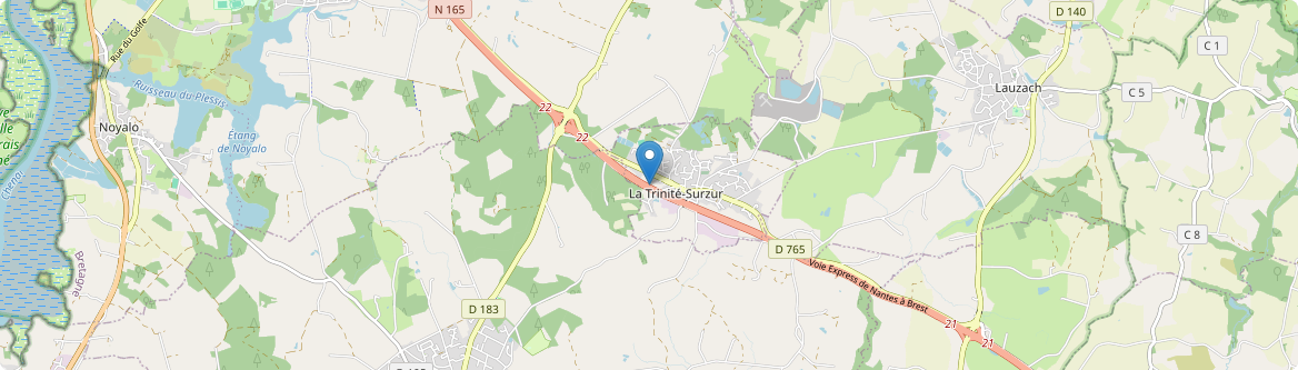 Trinité-Surzur - Carte