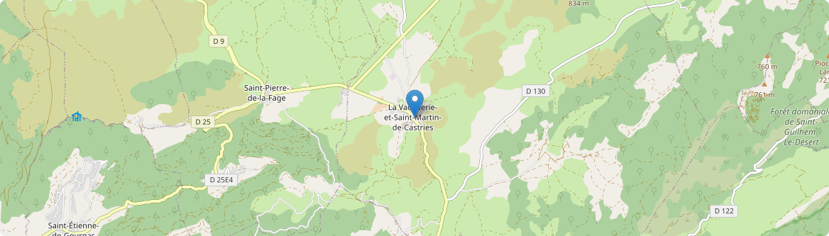 Vacquerie-et-Saint-Martin-de-Castries - Carte